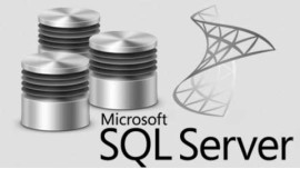 Microsoft SQL Server Development