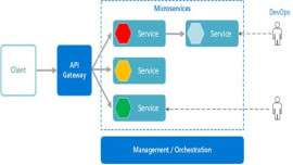 Basics of Microservices Architecture