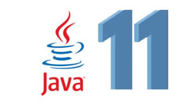 Certificate in Java 11